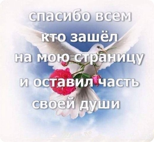 На свете есть обычные люди , а есть и такие , которые сами несут свет. Свет добра , красоты , надежды, поддержки и оптимизма.Такие люди, как вы, друзья мои.И огромнейшее спасибо вам за это! (фото 20)