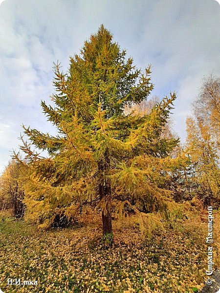      Она во весь рост.  (фото 16)