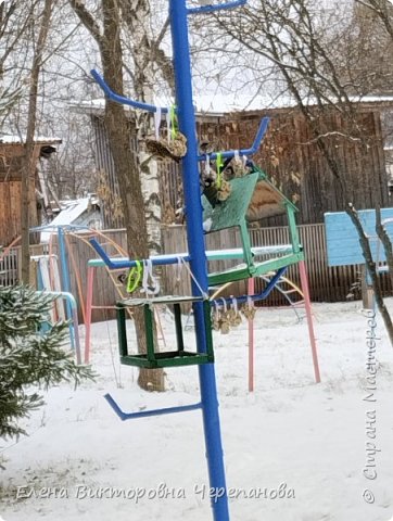 А вот и стайка воробьёв.
Побоялась сфотографировать поближе, спугнуть. Пусть лакомятся - для нас это просто интерес, а для них- жизнь. (фото 8)