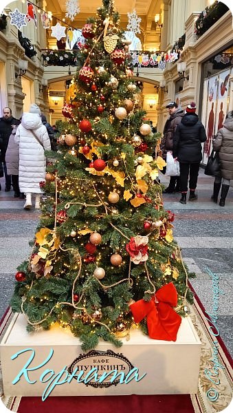 Кафе "Пушкин" нарядили в лучших традициях 19 века.  (фото 11)