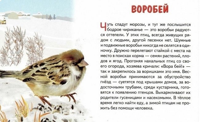 "Чир – чирикнул воробей,- приходи, весна, скорей,                                                                                                                
Очень холодно зимой, я без шубки и босой.   
Лапки мёрзнут на снегу, я согреться не могу.
Вот и прыгаю, кричу, очень я тепла хочу"
(Т. Патракеева) (фото 6)