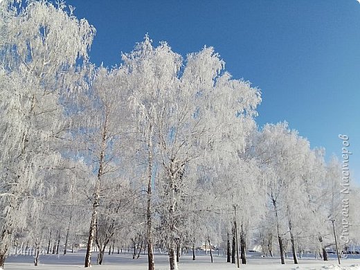 Приветствую всех своих гостей! Гостям всегда рада!
Сегодня для вас я выбрала несколько картин художника по имени Зима. (фото 1)