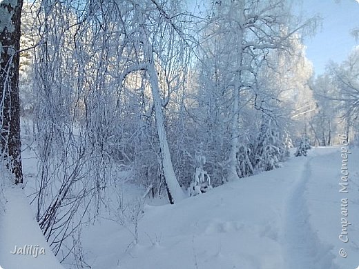 Акварели зимы. (фото 10)