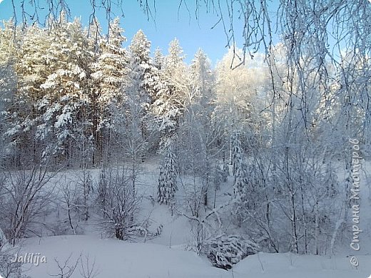 Но всё же шум города сюда тоже проникает, не так сильно, но всё же (фото 13)