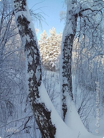 Вот красивая картинка. В рамке. (фото 14)