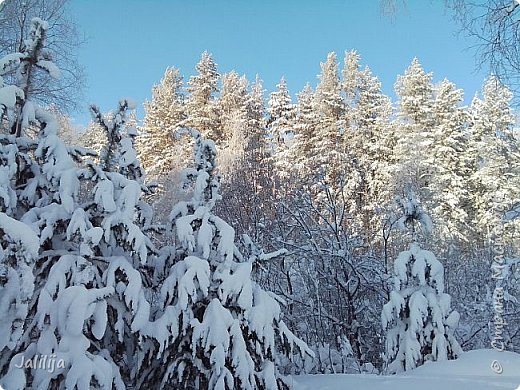 Акварели зимы. (фото 16)