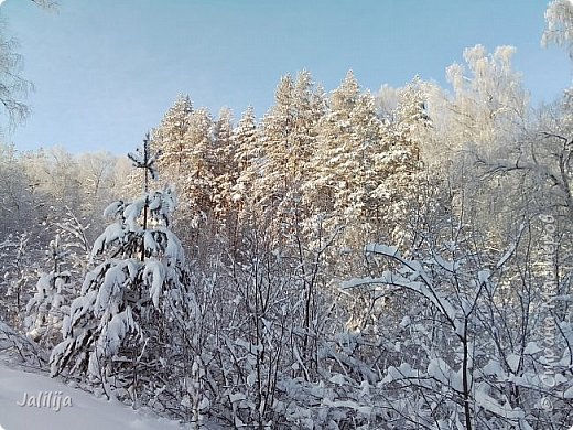 Очень часто здесь гуляю, это ближайший ко мне парк. 
 (фото 18)