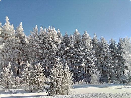 Такая вот красота сопровождает почти на всём пути. (фото 29)