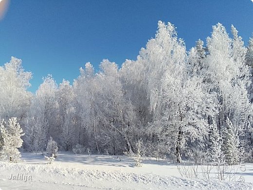 Картины, одна краше другой. (фото 30)