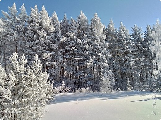 Акварели зимы. (фото 33)