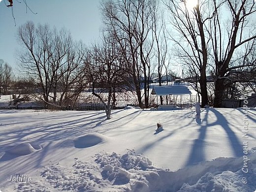 Всё под снегом. Всё спит. (фото 36)