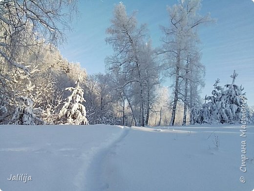 Но есть и вот такие, дикие тропки. (фото 9)