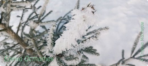 Весна по календарю уже началась, но всё ещё по зимнему красиво. (фото 6)