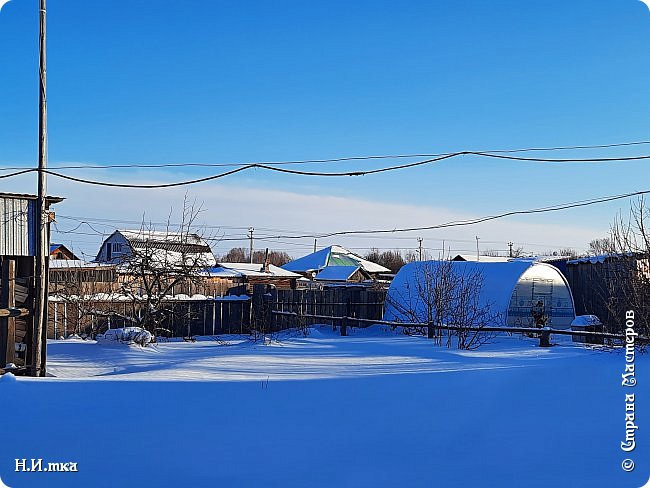    Февральское утро.  Наш огород под белым пушистым одеялом. (фото 10)