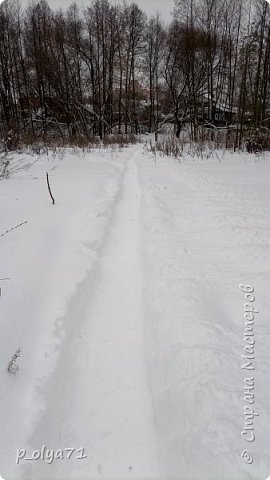 Ну и на поле почистила,чтобы удобнее было ходить с Рэем) Вообще,в этом году мы с Серёжей за зиму чистили тропинки на поле несколько раз. И нам гулять удобнее,и в магазин сходить через поле. И собачники с высотных домов через поле всю зиму тут по нашим тропинкам гуляли,их дорогу снегом засыпали(снег со всего города привозят к нам на поле уже не первый год) (фото 14)