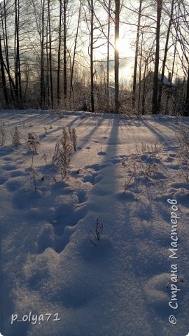 Вспоминая зиму.Декабрь. (фото 10)