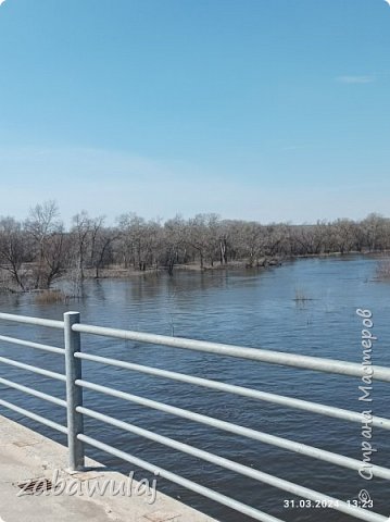 Весна у нас очень ранняя в этом году...половодье во всю разыгралось...Бузулук давно покинул свои берега....и вода шумит..... (фото 1)