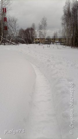 Вспоминая зиму.Февраль. (фото 71)