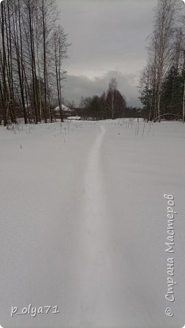 18 февраля.
И снова тропинки занесло... Лопату в руки... (фото 69)