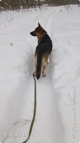 Вспоминая зиму.Январь. (фото 51)