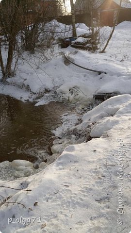 Вспоминая зиму.Январь. (фото 14)