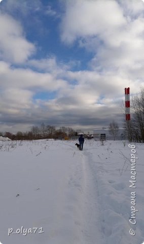 3 февраля.
Проглядывает солнышко и небо красивое-красивое! (фото 5)