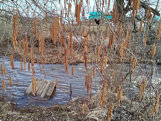 а над ней висят эти серёжки. (фото 31)