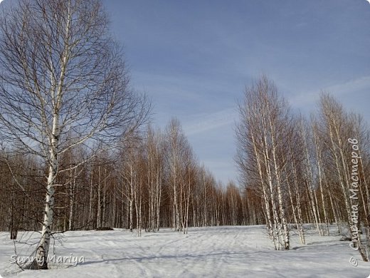 Вот такая моя небольшая прогулка... (фото 5)