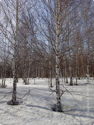 Снега уже немного осталось. Ну, по сравнению с зимой))) (фото 3)