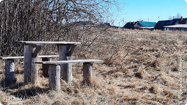    Береговая улица совсем близко.   
С этой прогулки я принесла домой клеща, хорошо, что он не успел ко мне прицепиться. (фото 24)