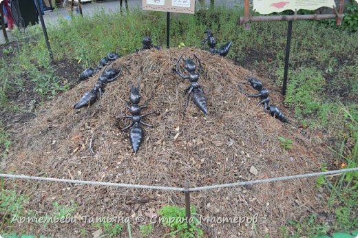 Вот такой вот декоративный муравейник. Вообще , в зоопарке , очень много  садовых декораций. (фото 14)