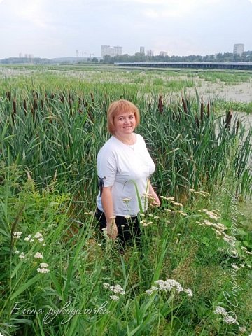 Притягивают меня такие места. Люблю природу)))
А на заднем плане видны башенные краны. Город застраивается... (фото 12)