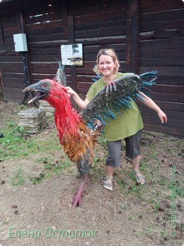 Цветной птиц. 
Осматриваю со всех сторон  и подхожу с опаской. Не понятно с каким настроением он к тебе.   (фото 22)