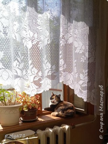 Июль. (фото 50)