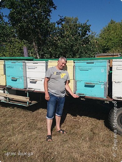 Главный мой пчеловод. Стаж 30 лет. Пасека у нас кочевая. Таскаем ее по области, в зависимости от того где что посеяно или травы зацвели. Это Городищенский, Фроловский, Михайловский районы. (фото 11)