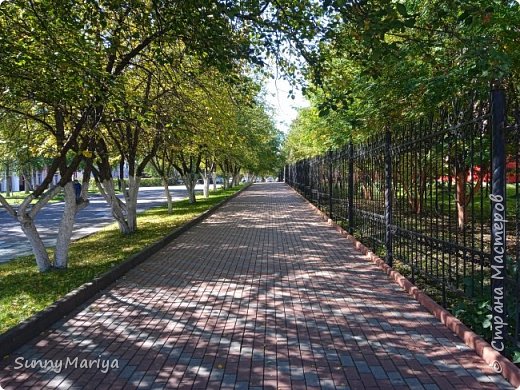 В городе. Очень люблю прогуливаться по этой аллейке.  (фото 3)