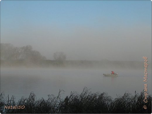 Утренние лучи + хвастик (фото 12)