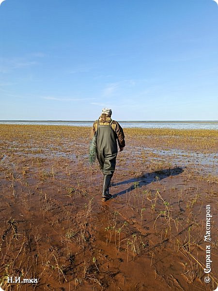    Поехали с мужем на озеро Туман одни сети ставить, другие проверять.  (фото 15)