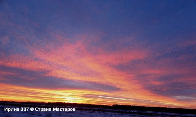 Декабрьские фотозарисовки, 2024 г. (фото 14)