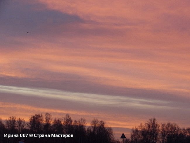 Декабрьские фотозарисовки, 2024 г. (фото 19)