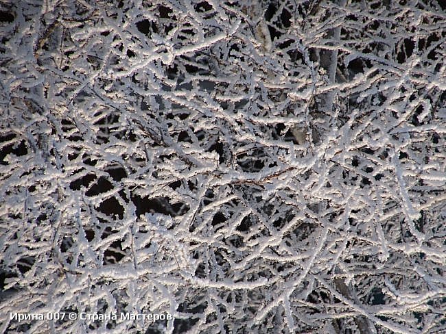 Декабрьские фотозарисовки - 2, 2024 г. (фото 39)