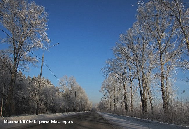 Январские фотозарисовки, 2025 г. (фото 31)