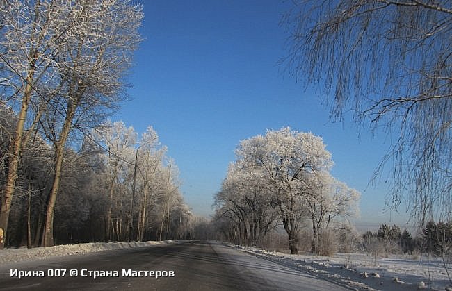 Январские фотозарисовки, 2025 г. (фото 32)