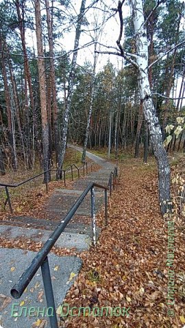 До того, как я сюда вернулась, я ещё побродила по дворам. Почему-то их нефоткала. Может потому что он мне не знакомы.   (фото 60)