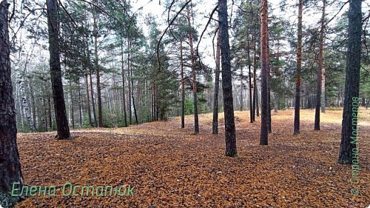 Сейчас тут уже не покататься.  (фото 44)