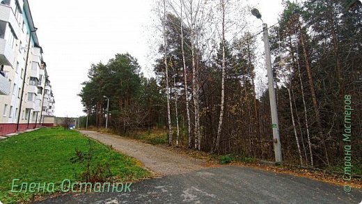 Дом, что попал в кадр построен сразу же за нашим домом. Его не было. (фото 37)