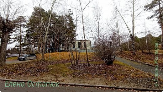 Вид от подъезда в сторону бассейна. Здесь была скромная детская площадка. Качели были. Большие качели.  (фото 31)