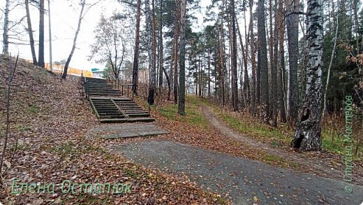 Вот в принципе закончился лесок. В детстве казалось, что так долго идти было, а сейчас на раз два прошлась.
Можно подняться по лесенке или по тропке справа. Как вы думаете, какой способ выбрала Лена?  (фото 23)