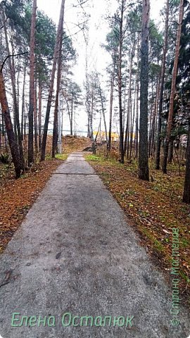 Впереди видна цивилизация. (фото 21)