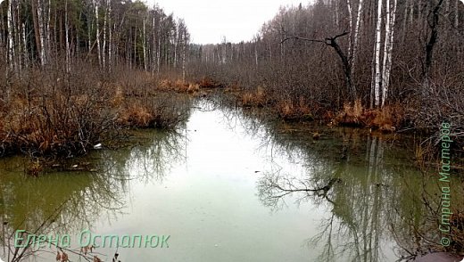 С одной стороны мостка. (фото 7)